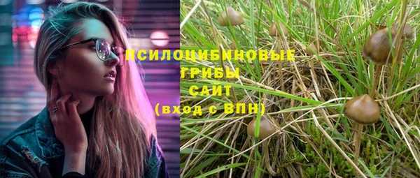 каннабис Алзамай