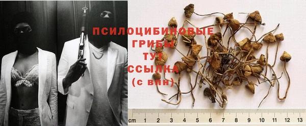 каннабис Алзамай