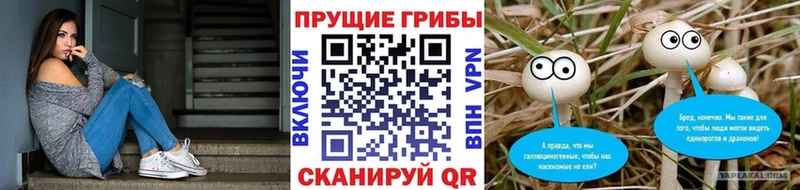 продажа наркотиков  Петушки  Галлюциногенные грибы прущие грибы 